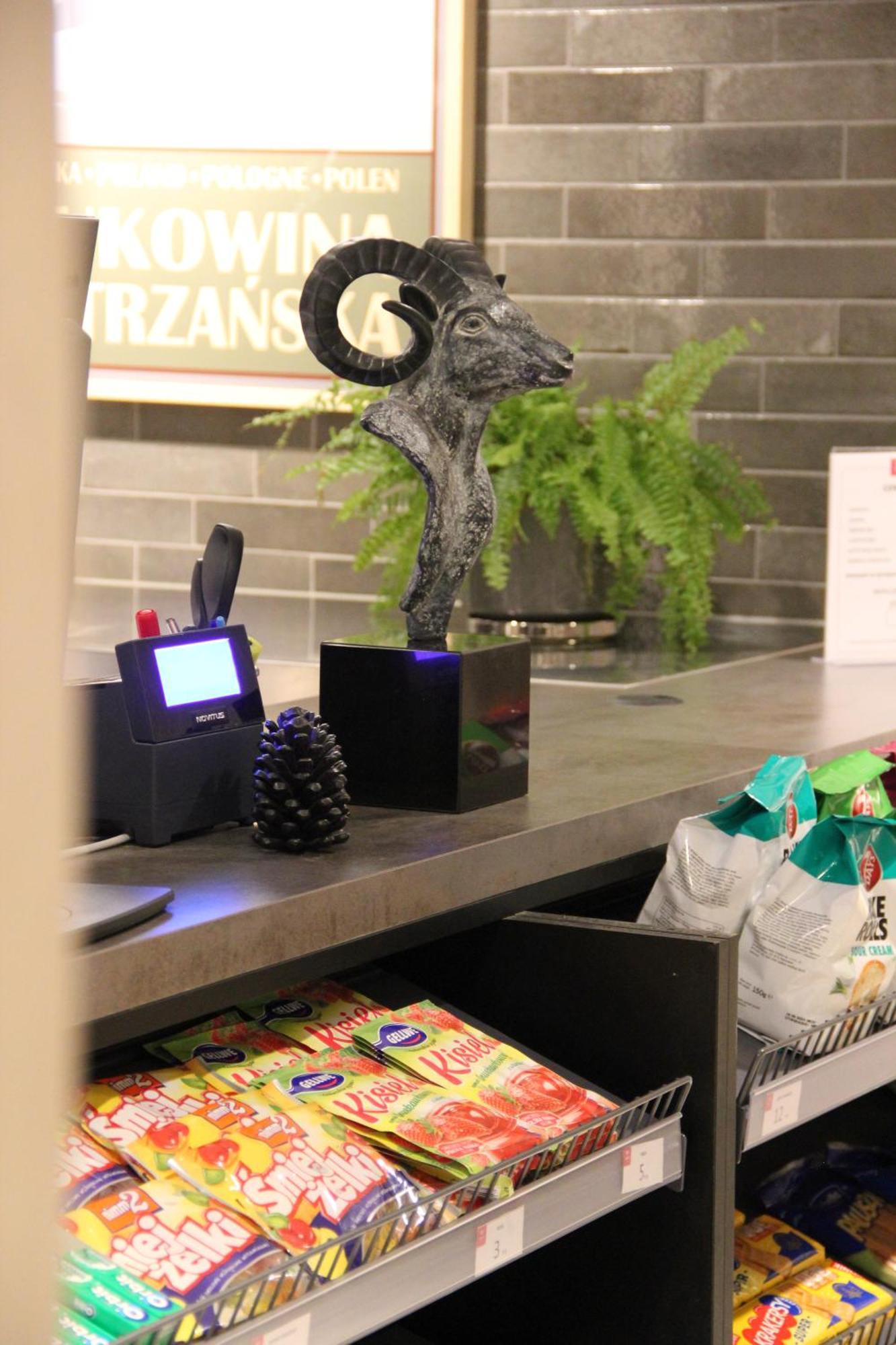 Apartamenty Aries Residence Bukowina Bukowina Tatrzanska Luaran gambar